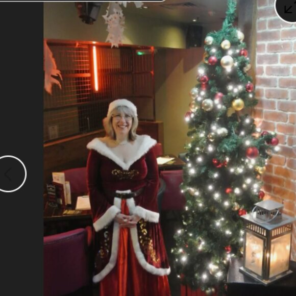 Sexy Mrs Claus Christmas Dress Gown Costume  - Elegant  XL - Picture 3 of 7